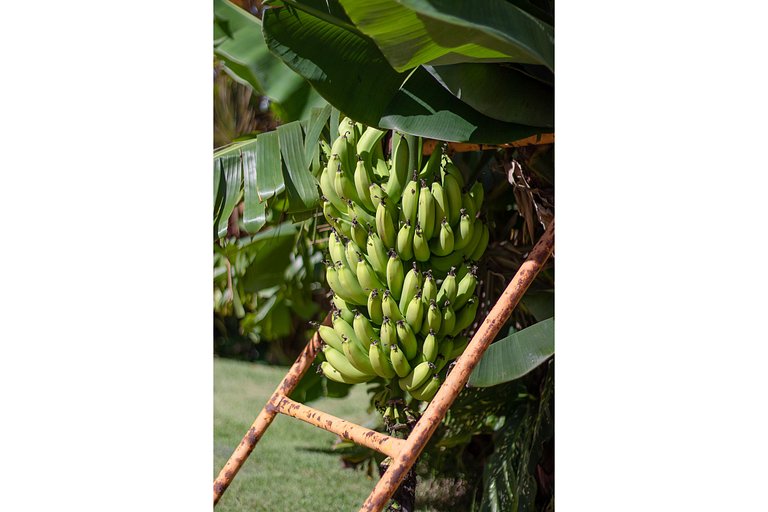 2 SUÍTES Ideal p/ sua família e amigos San Giacomo